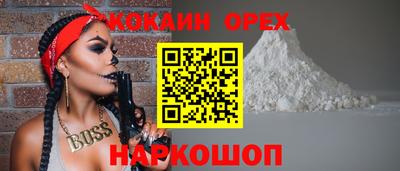 крисы Краснодар