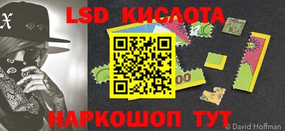 крисы Краснодар