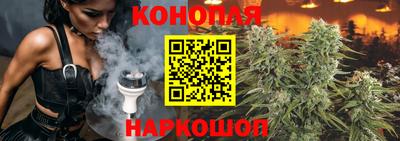 крисы Краснодар