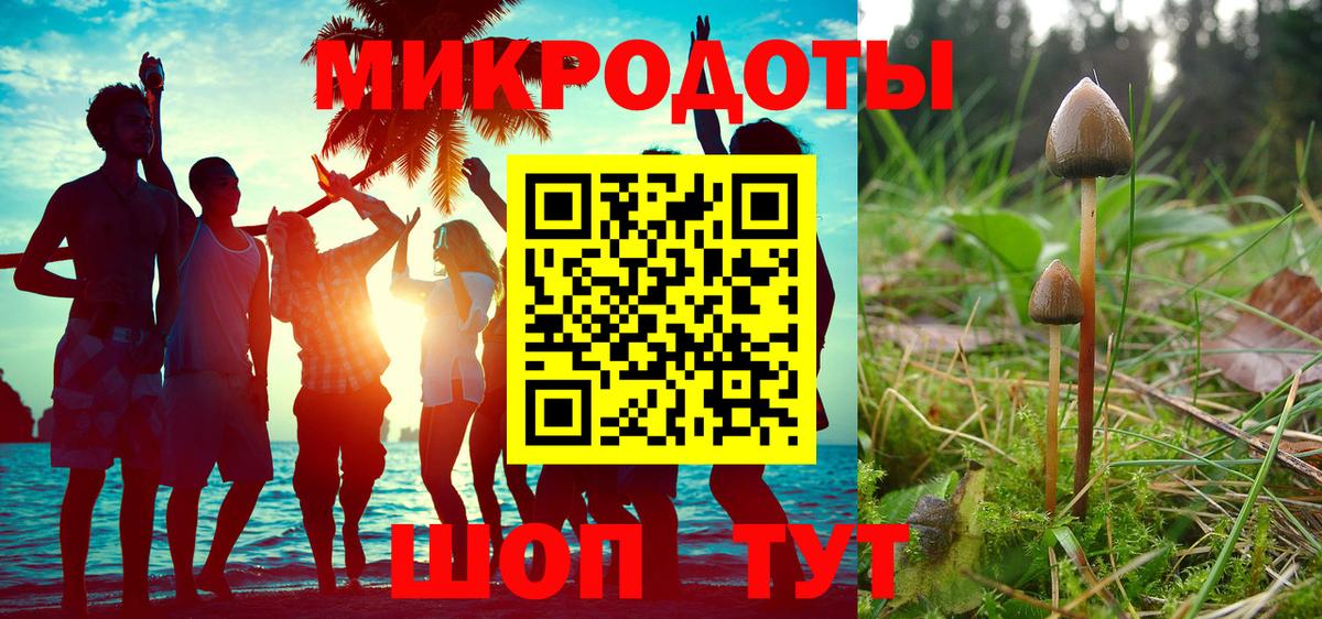 Псилоцибиновые грибы Magic Shrooms Кисловодск