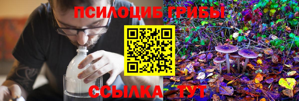 Кисловодск  Галлюциногенные грибы Cubensis  Галлюциногенные грибы ЛСД  Вход с VPN 